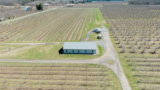 6258 Hill Rd, Sodus, NY 14551 - photo 16