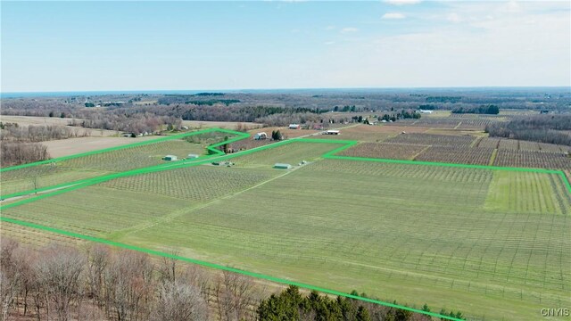6258 Hill Rd, Sodus, NY 14551 - photo 4