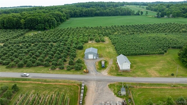 6258 Hill Rd, Sodus, NY 14551 - photo 12
