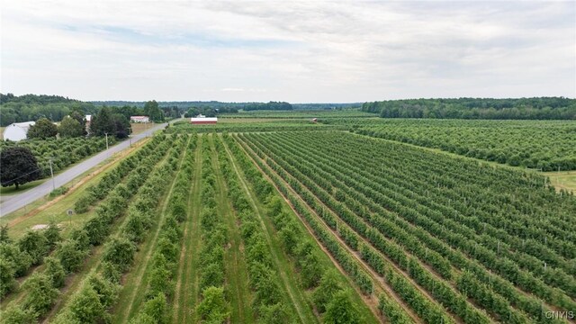 6258 Hill Rd, Sodus, NY 14551 - photo 23