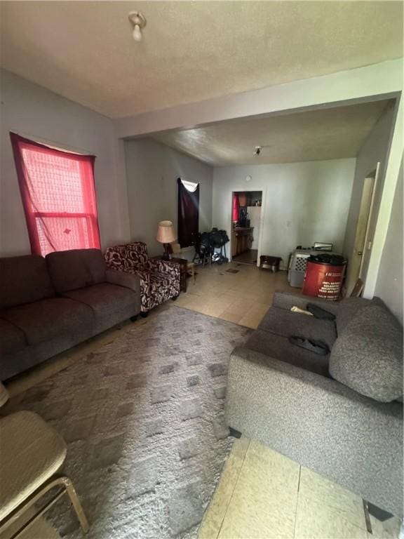 659 Bay St, Rochester, NY 14609 - view of tiled living room