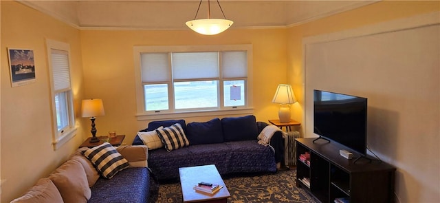 living area featuring radiator heating unit