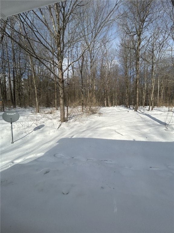 view of snowy yard