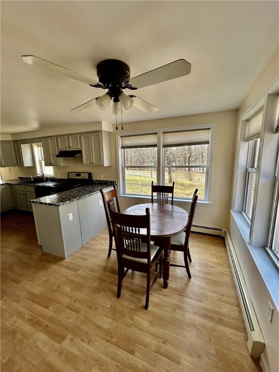 dining room featuring a baseboard radiator, a ceiling fan, light wood-style floors, and a healthy amount of sunlight