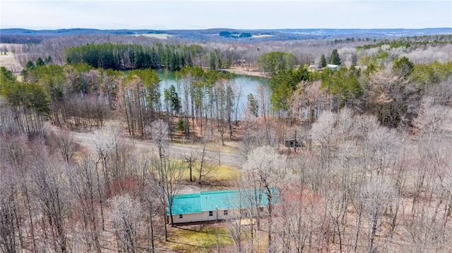 bird's eye view featuring a water view and a wooded view