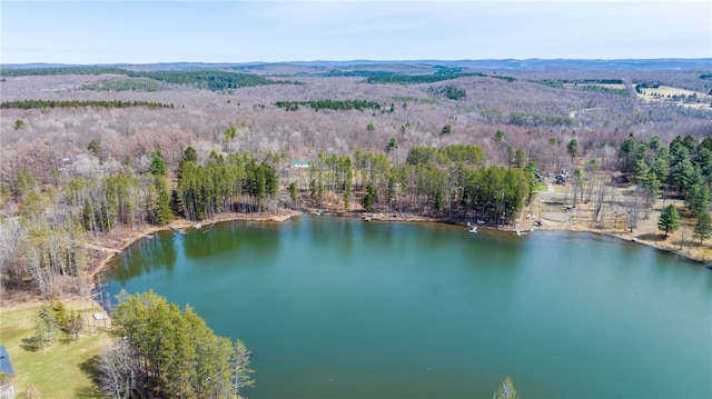 drone / aerial view with a wooded view and a water view
