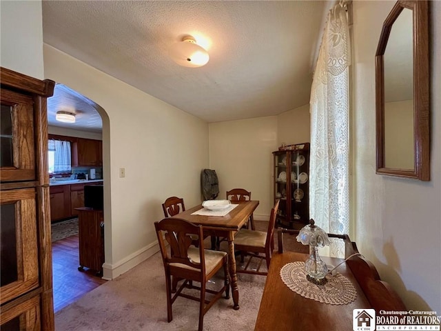 546 S Roberts Rd, Dunkirk-City, NY 14048 - carpeted dining room featuring arched walkways, baseboards, and a textured ceiling