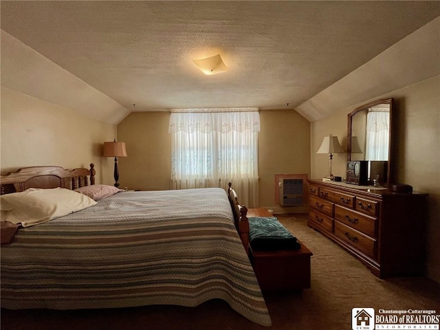 546 S Roberts Rd, Dunkirk-City, NY 14048 - carpeted bedroom featuring lofted ceiling and a textured ceiling