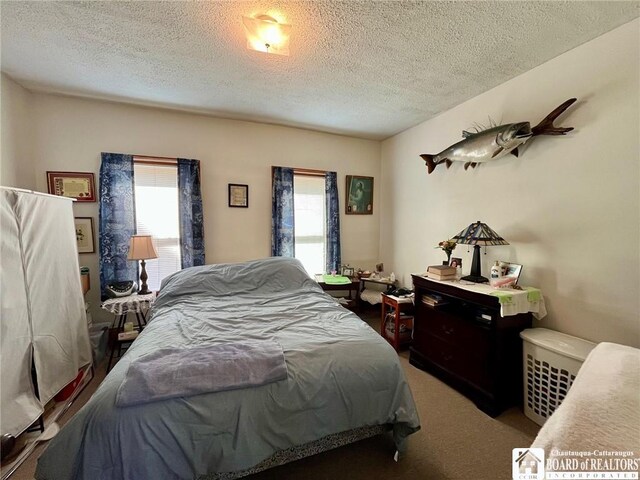 546 S Roberts Rd, Dunkirk-City, NY 14048 - carpeted bedroom with a textured ceiling