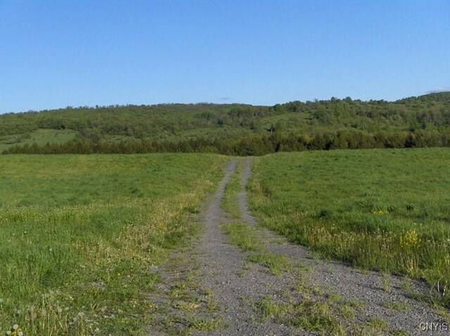 0 Lake Moraine Rd, Madison, NY 13402 - photo 3
