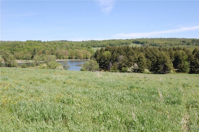 0 Lake Moraine Rd, Madison, NY 13402 - photo 4