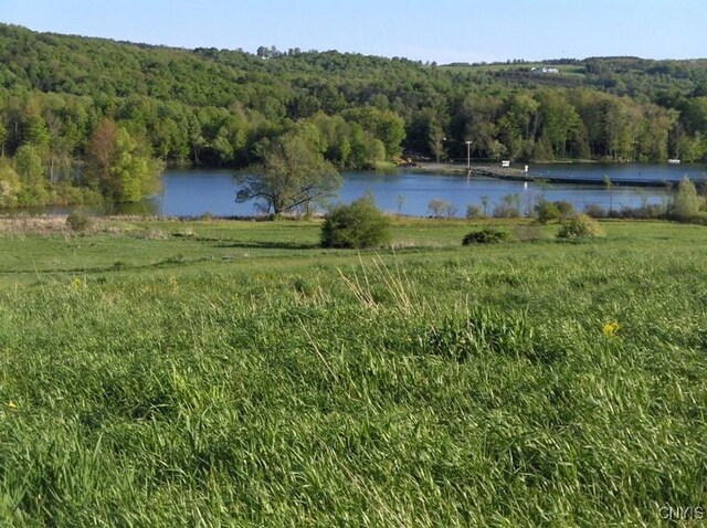 0 Lake Moraine Rd, Madison, NY 13402 - photo 5