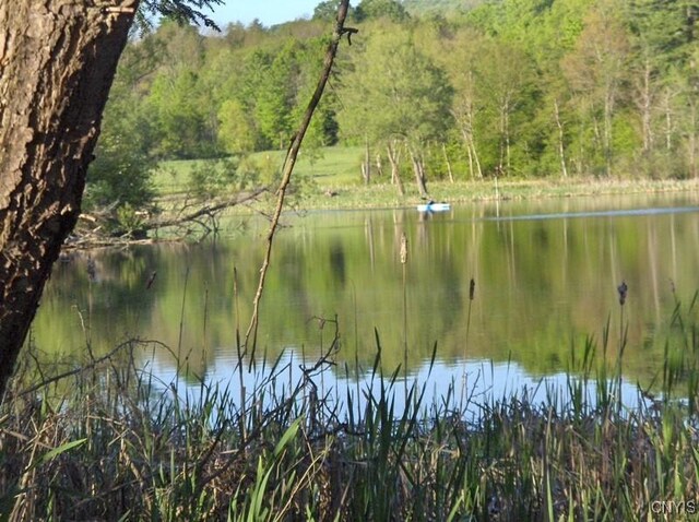0 Lake Moraine Rd, Madison, NY 13402 - photo 6