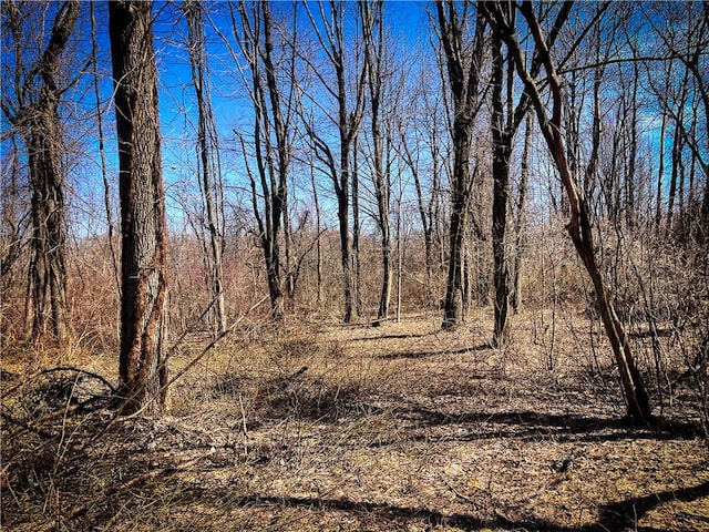Mason Rd, New Haven, NY 13114 - photo 12
