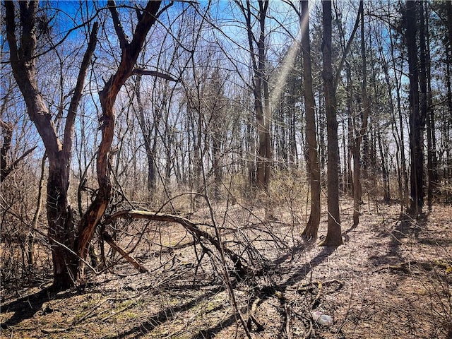 Mason Rd, New Haven, NY 13114 - photo 13