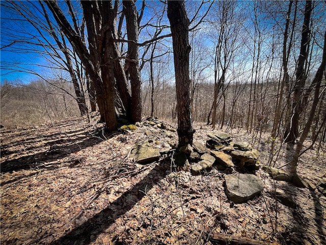 Mason Rd, New Haven, NY 13114 - photo 21
