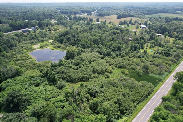 Mason Rd, New Haven, NY 13114 - photo 22