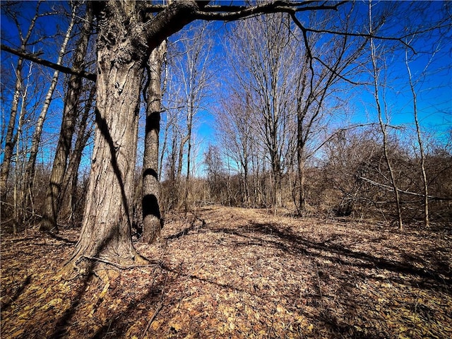 Mason Rd, New Haven, NY 13114 - photo 23