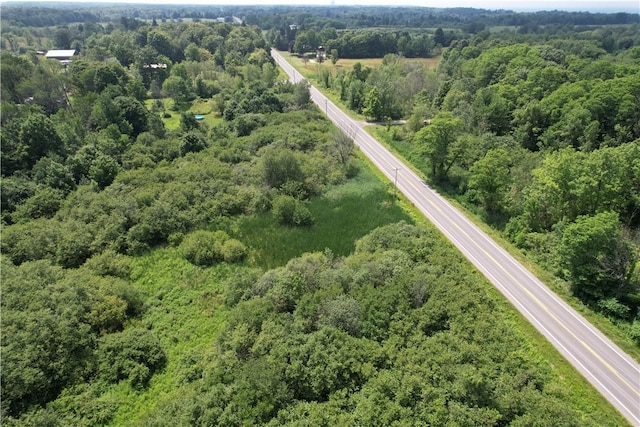 Mason Rd, New Haven, NY 13114 - photo 25