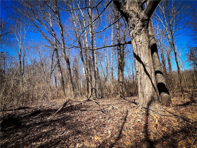 Mason Rd, New Haven, NY 13114 - photo 26