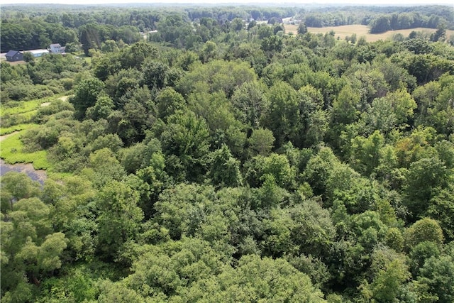 Mason Rd, New Haven, NY 13114 - photo 29