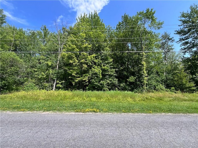 Mason Rd, New Haven, NY 13114 - photo 32