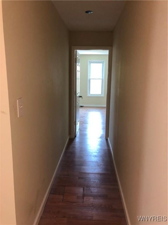 202 Thompson St, Buffalo, NY 14207 - corridor with dark wood finished floors and baseboards