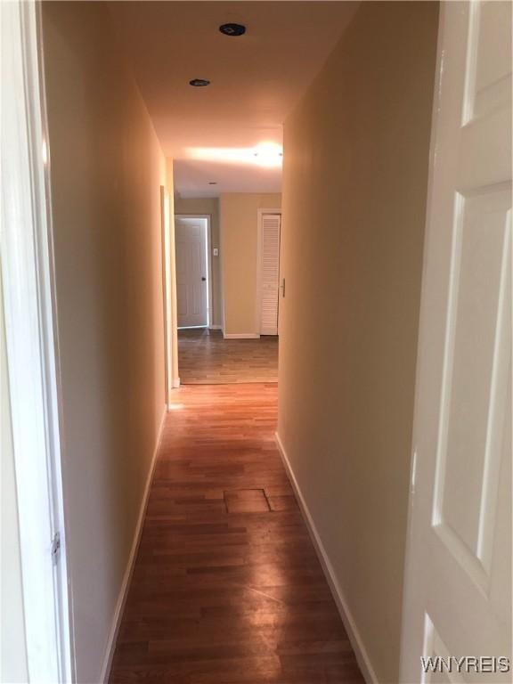 202 Thompson St, Buffalo, NY 14207 - hallway with wood finished floors and baseboards