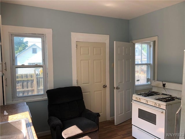 202 Thompson St, Buffalo, NY 14207 - kitchen featuring gas range gas stove, healthy amount of natural light, and dark wood-type flooring