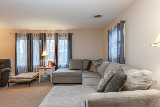 31 Briarcliff Dr, Horseheads, NY 14845 - carpeted living area with visible vents