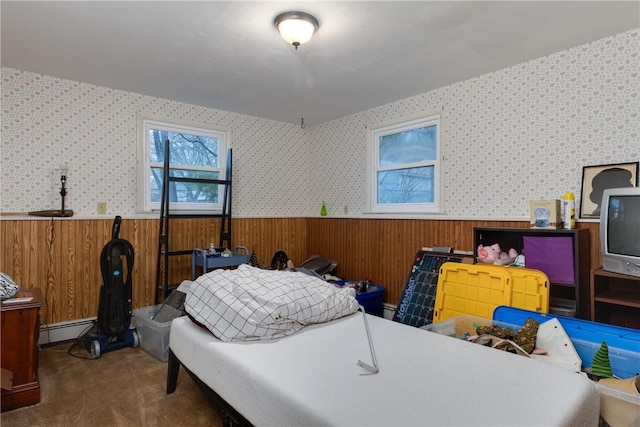 31 Briarcliff Dr, Horseheads, NY 14845 - carpeted bedroom featuring a baseboard radiator, wood walls, a wainscoted wall, and wallpapered walls