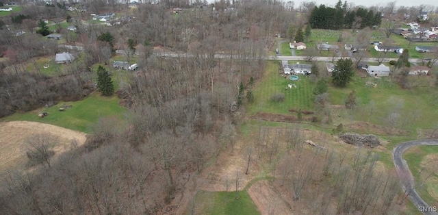 Court St, Aurelius, NY 13034