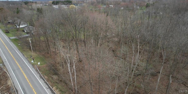 Court St, Aurelius, NY 13034