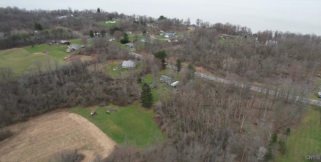 Court St, Aurelius, NY 13034