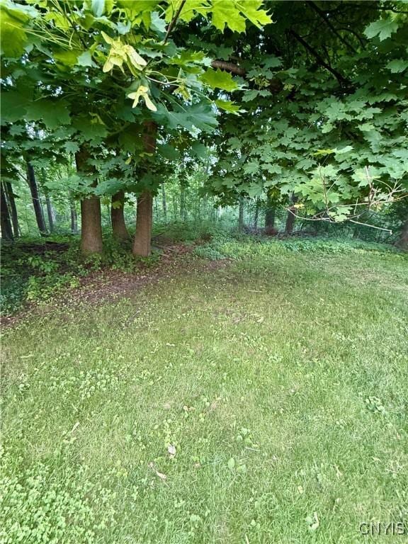 Court St, Aurelius, NY 13034