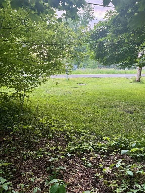 Court St, Aurelius, NY 13034