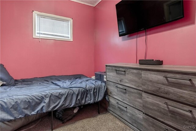 137 N Orchard St, Watertown City, NY 13601 - photo 22