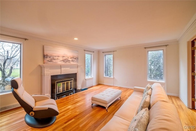 living area featuring ornamental molding, wood finished floors, and plenty of natural light