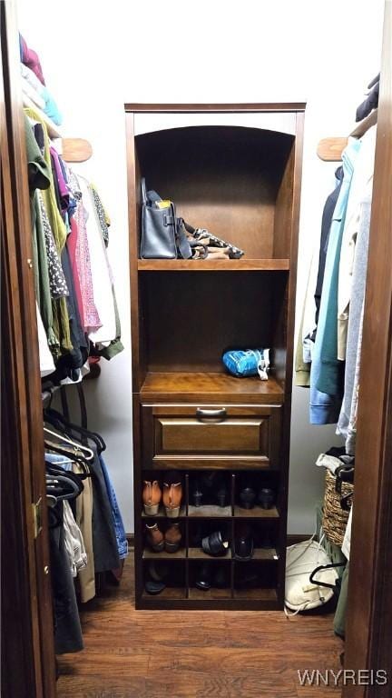 walk in closet with wood finished floors