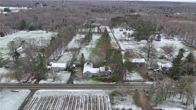 snowy aerial view featuring a view of trees