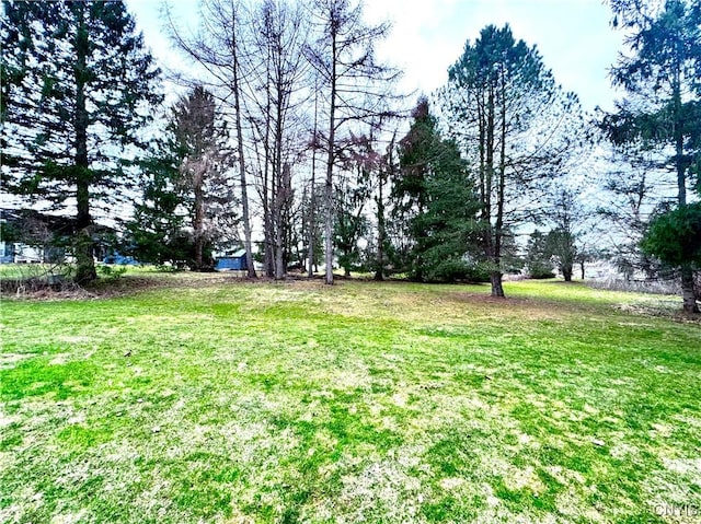 14 Barley Mow Run, New Hartford, NY 13413 - view of yard