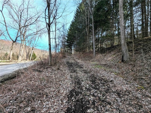 Ryan Hollow Rd, Cohocton, NY 14826