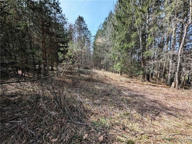 Ryan Hollow Rd, Cohocton, NY 14826