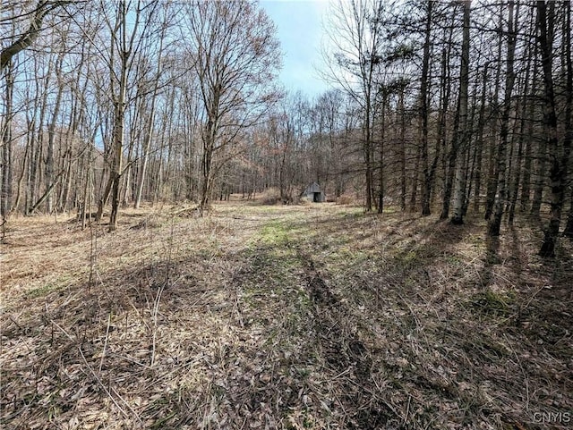 Ryan Hollow Rd, Cohocton, NY 14826
