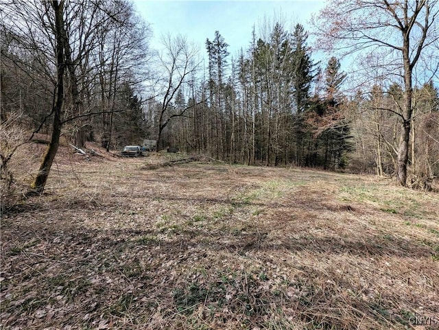 Ryan Hollow Rd, Cohocton, NY 14826