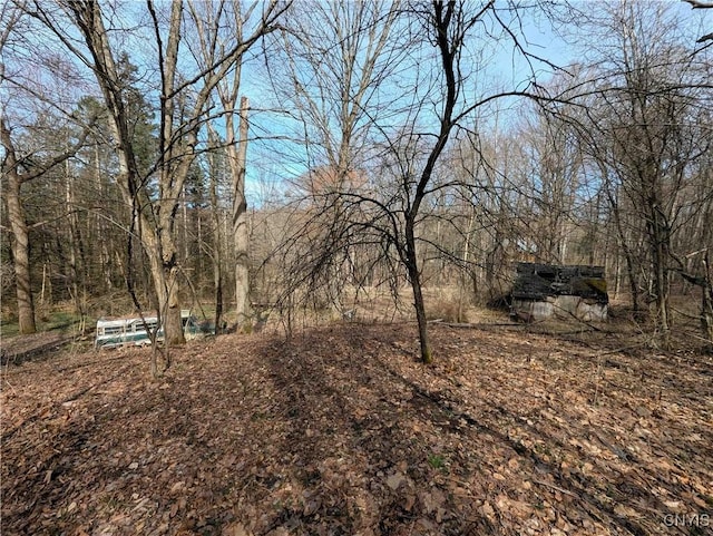 Ryan Hollow Rd, Cohocton, NY 14826