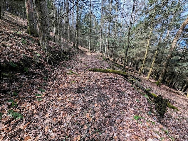 Ryan Hollow Rd, Cohocton, NY 14826
