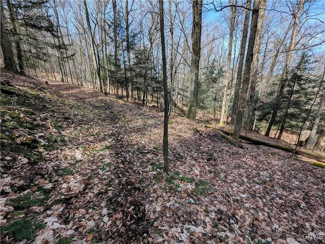Ryan Hollow Rd, Cohocton, NY 14826