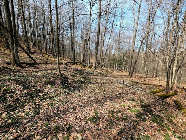 Ryan Hollow Rd, Cohocton, NY 14826