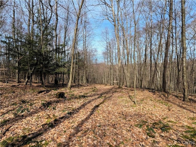 Ryan Hollow Rd, Cohocton, NY 14826